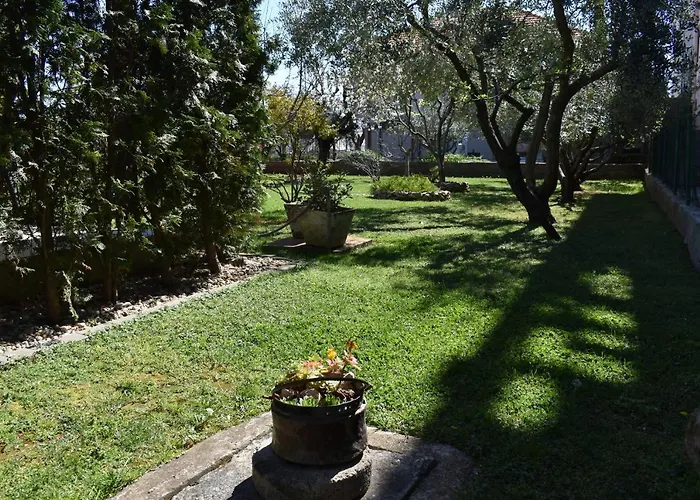 Apartment Dodo Zadar